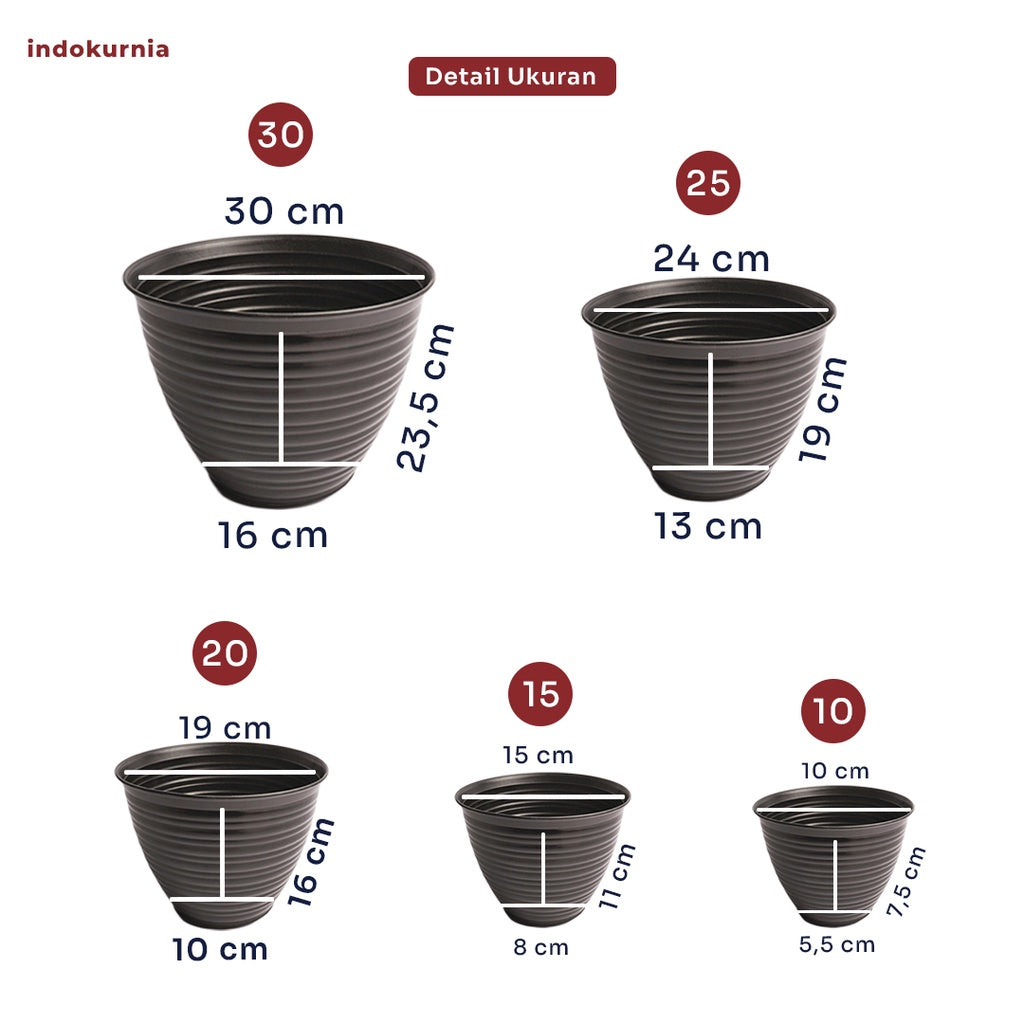 Indokurnia Pot Tawon Hitam