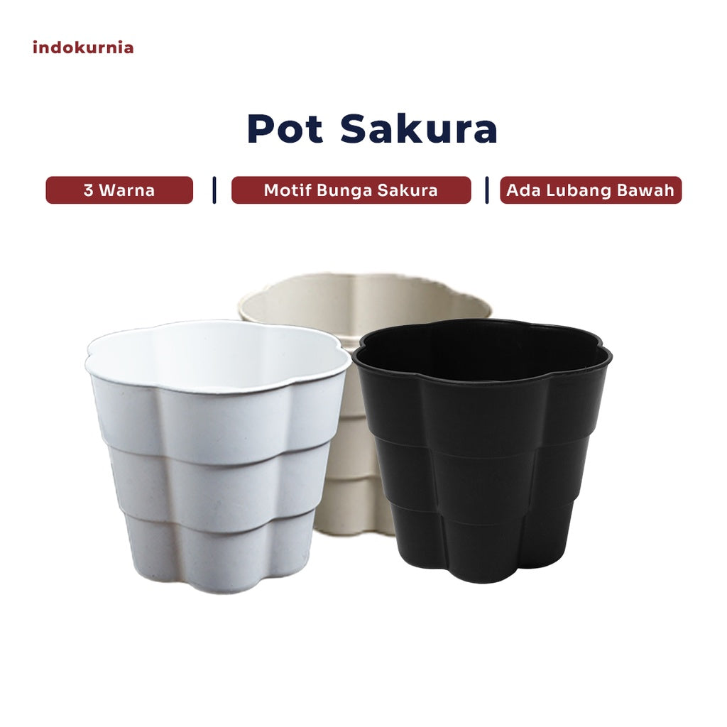 Indokurnia Pot Sakura