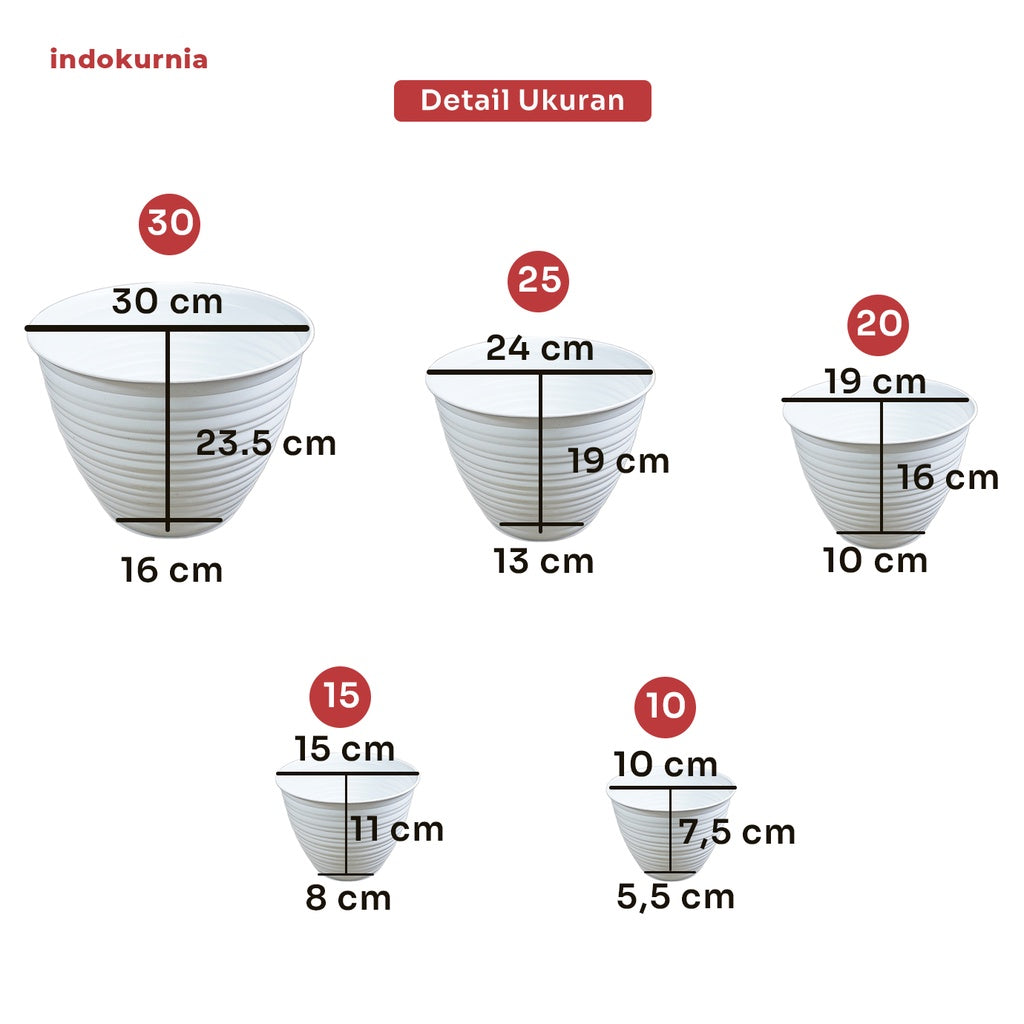 Indokurnia Pot Tawon Putih