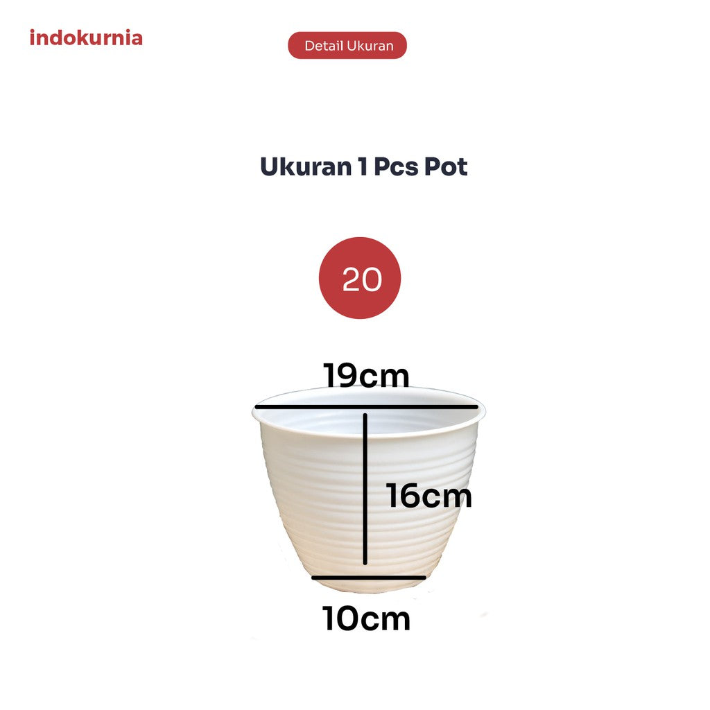 Indokurnia 12 Pcs Pot Tawon Putih 20cm