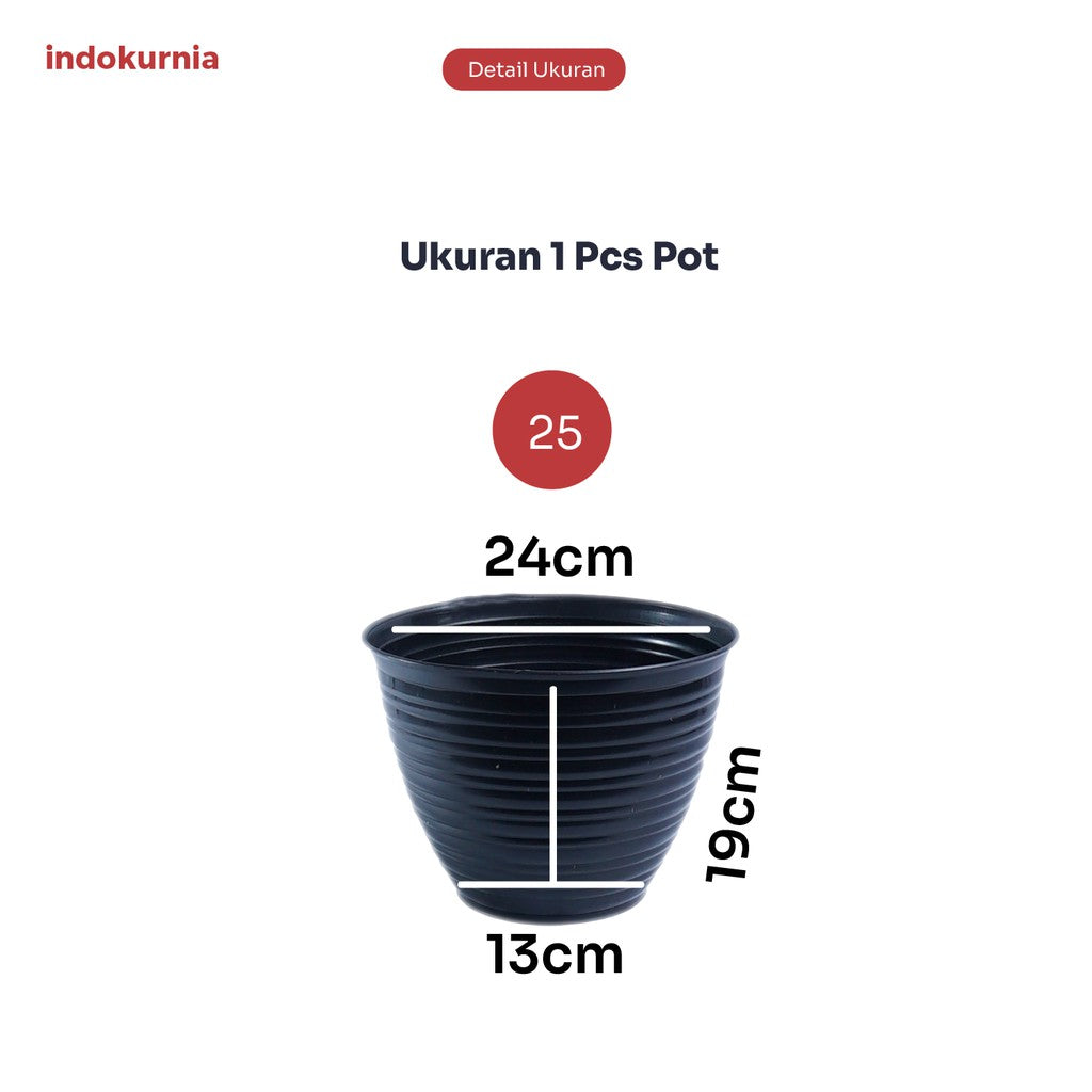 Indokurnia 12 Pcs Pot Tawon Hitam 25cm