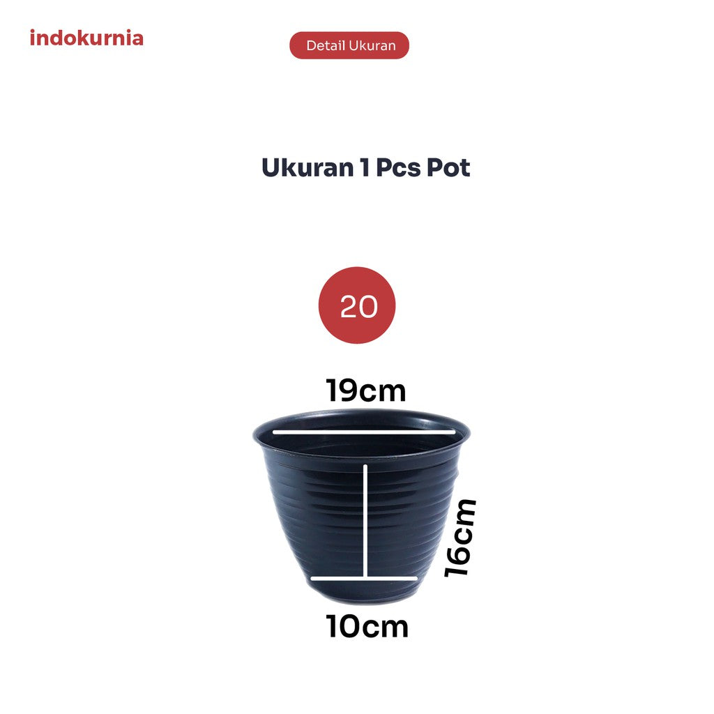 Indokurnia 12 Pcs Pot Tawon Hitam 20cm