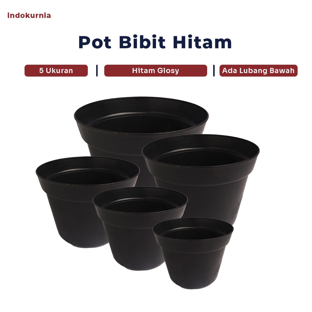 Indokurnia Pot Bibit Hitam