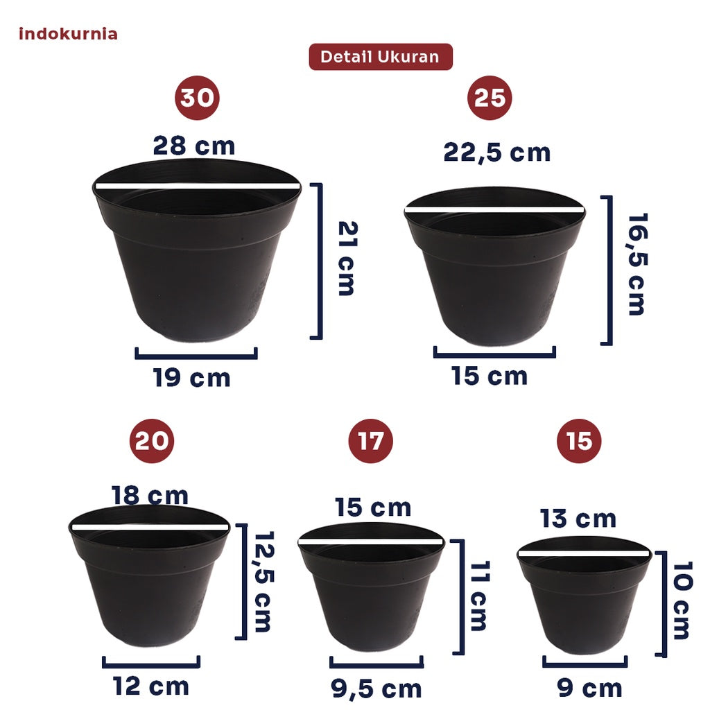 Indokurnia Pot Bibit Hitam